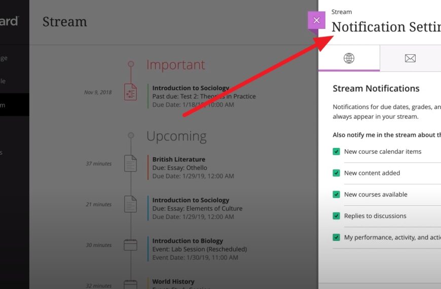Flujo de actividad Blackboard Ultra UCV